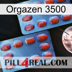 Orgazen 3500 05